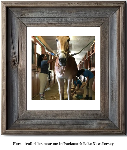 horse trail rides near me in Packanack Lake, New Jersey